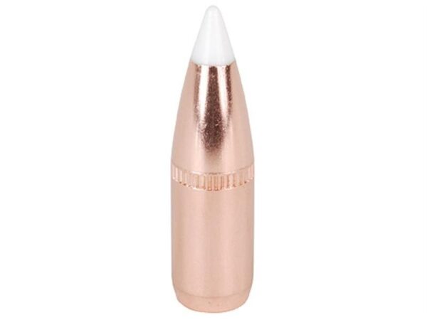 Nosler Bullets 6.8mm Remington SPC (.277 Diameter) 100 Gr. AccuBond Bonded Spitzer- Box of 50- 57845