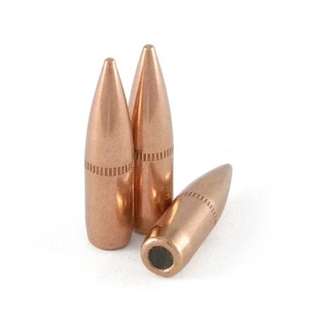Prvi Partizan Bullets .22 Caliber (.224 Diameter) 62 Gr. SS109 FMJ BT- Bag of 500- PPUB110B-500