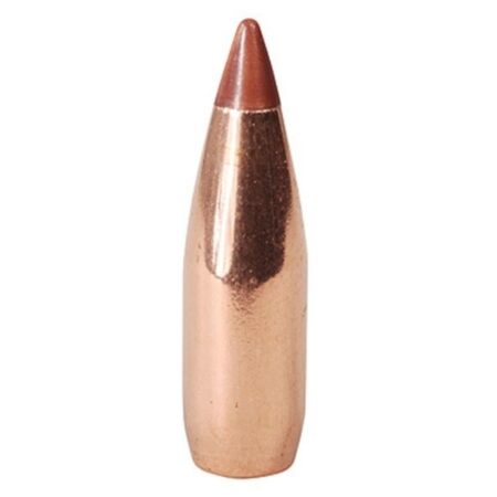 Hornady Bullets .20 Caliber (.204 Diameter) 24 Gr. Varmint NTX Lead-Free Boat Tail- Box of 100- 22000