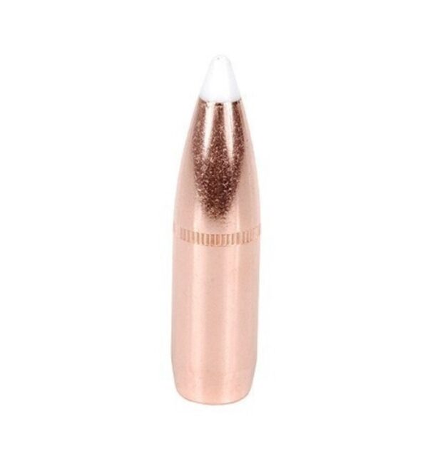 Nosler Bullets .375 Caliber (.375 Diameter) 300 Gr. AccuBond Bonded Spitzer Boat Tail with Cannelure- Box of 50