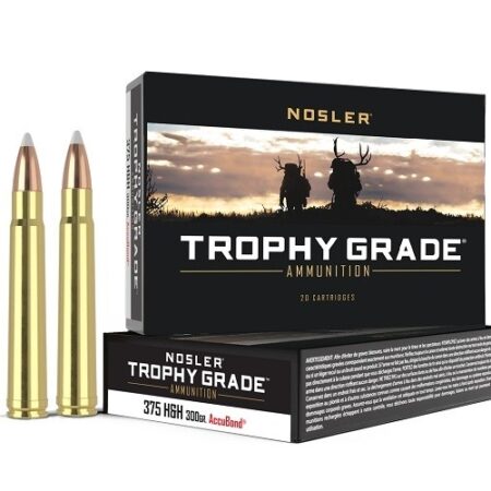 Nosler Trophy Grade .375 H&H Magnum 300 Gr. AccuBond- Box of 20