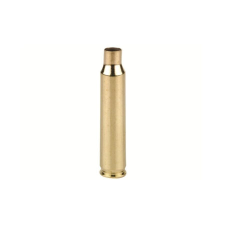 Winchester .223 Remington Unprimed Brass- Bulk Bag of 50- WSC223REM50-BULK