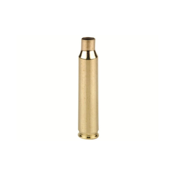 Winchester .223 Remington Unprimed Brass- Bulk Bag of 50- WSC223REM50-BULK
