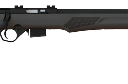 Rossi RB22W2111 RB22  Full Size 22 WMR 5+1, 21" Blued Button Rifled Free Floating Steel Barrel, Blued Stainless Steel Receiver, Black Monte Carlo Stock, Right Hand