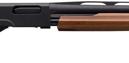 Winchester Repeating Arms 512367601 SXP Field Youth 20 Gauge 18" 5+1 3" Matte Black Rec/Barrel Satin Walnut Stock Right Hand Includes 3 Invector-Plus Chokes