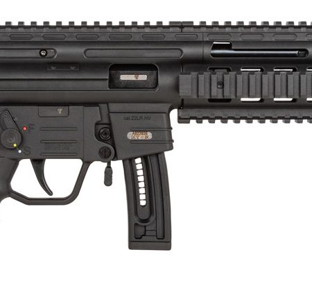 GSG GSGGERGGSG1610 GSG-16 *CA Compliant Full Size 22 LR 10+1 16.25" Black Black Polymer Receiver Black Collapsible w/Storage Compartment Stock Right Hand