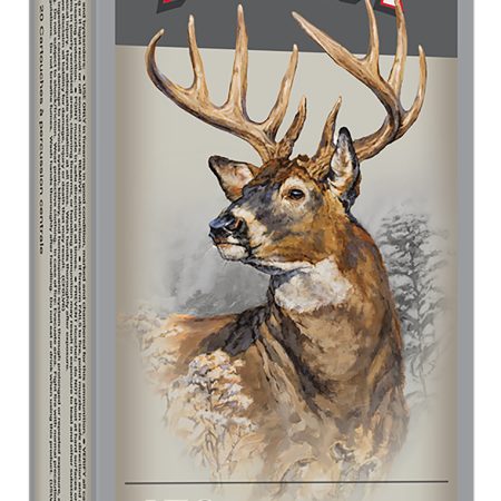 Winchester Ammo X4501 Power-Point 450Bushmaster 260gr 20 Per Box/10 Case