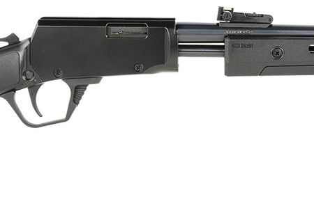 Rossi RP22181SY Gallery  Full Size 22 LR 15+1, 18" Polished Black Steel Barrel, Polished Black Steel Receiver, Black Stock, Right Hand