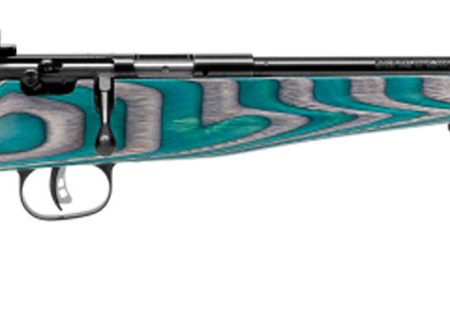 Savage Arms 13802 Rascal Minimalist Youth 22 LR 1rd 16.12" Matte Black Threaded Barrel, Satin Black Carbon Steel Receiver, Gray & Teal Hybrid Boyd's Minimalist Laminate Stock, Right Hand