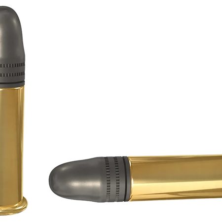 SK 420137 High Velocity  22LR 40gr High Velocity Match 50 Per Box/100 Case