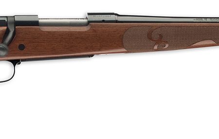 Winchester Guns 535201294 Model 70 Featherweight Compact 6.5 PRC 3+1 20" Brushed Polish Blued Satin Walnut Stock Right Hand (Full Size) No Sights