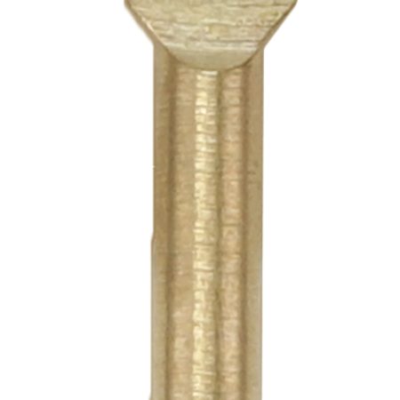 Birchwood Casey 41370 Brass Patch Loop 22 Cal