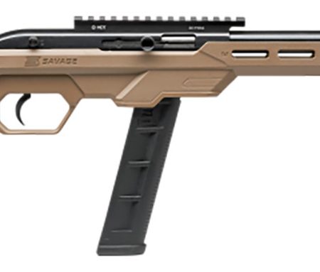 Savage Arms 45125 64 Precision 22 LR Caliber with 20+1 Capacity, 16.50" Threaded Barrel, Matte Black Metal Finish & Chassis Flat Dark Earth Synthetic Stock Right Hand (Full Size)