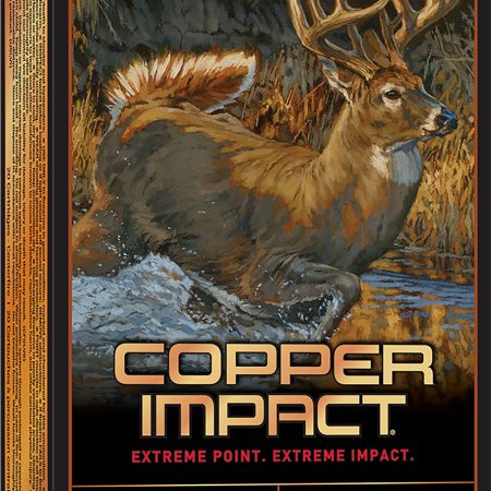 Winchester Ammo X300CLF Copper Impact  300WinMag 150gr Copper Extreme Point Lead Free 20 Per Box/10 Case