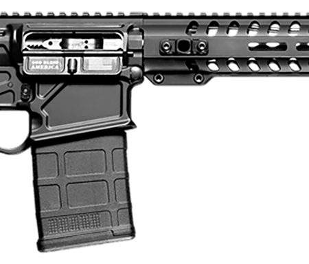 POF 01689 ROGUE     DI *CA   16 11M RAIL 308   BLK