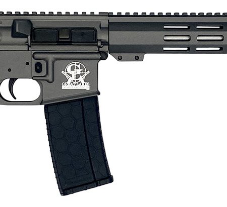 Great Lakes Firearms GL15223SSTNG AR-15  223 Wylde 16" Stainless 30+1, Tungsten Rec, Black Stock & Grip