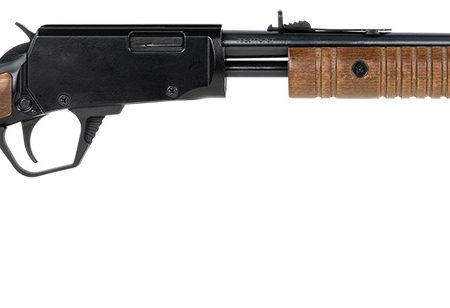 Rossi RP22W201WD Gallery  Full Size 22 WMR 12+1 20" Polished Black Steel Barrel & Receiver, Hardwood Synthetic Fixed Stock