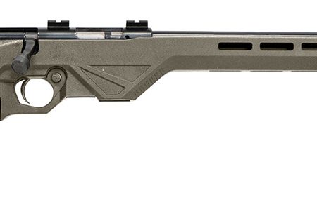 Citadel CIT17HMRBLTFDE Trakr  17 HMR 5+1 18" Blued Steel Barrel & Receiver, Flat Dark Earth Synthetic Stock