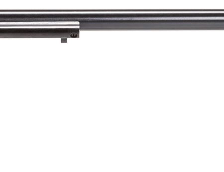 Heritage Mfg RR22B16BLKPRL Rough Rider  22 LR 6 Shot, 16" Black Oxide Steel Barrel, Black Oxide Zinc Alloy Frame, Black Oxide Cylinder, Black Pearl Grip, Manual Safety