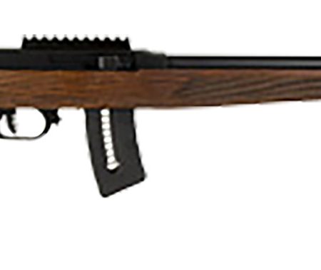 Rossi RS22W2111WD RS22  Full Size 22 WMR 10+1 21" Matte Black Steel Barrel, Matte Black Picatinny Rail Steel Receiver, Fixed Hardwood Stock