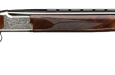 BRN 018142013 CIT WHT LGT SN      28 3      28 WAL