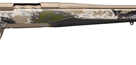 BRN 036006211 XB2 SPEED 243 22 OVIX/SB