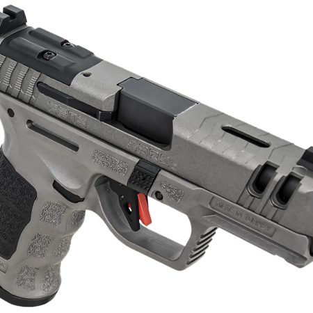 SAR USA SAR9CG3PT SAR9 C Gen3 Compact Frame 9mm Luger 15+1 4" Black Steel Barrel, Platinum Gray Steel Slide, Platinum Gray Polymer Frame w/Picatinny Rail, Black Interchangeable Backstrap Grip