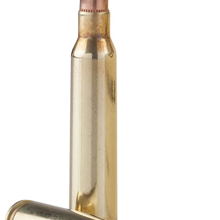 TR&Z PPRM5561P  Range Master 5.56x45mm NATO 55 gr Full Metal Jacket Boat Tail 125 Per Box/ 4 Case