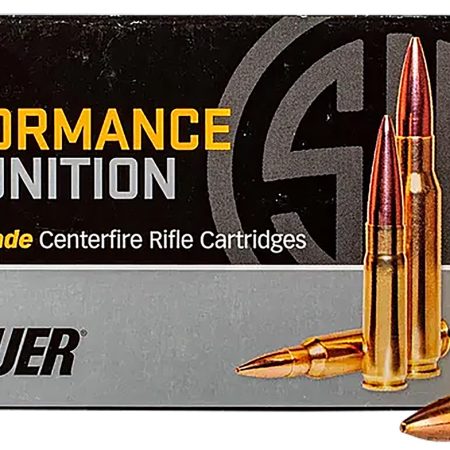 Sig Sauer T300BLK110TTX2 TAC-TX 300Blackout 110gr 20 Per Box