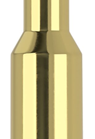 Nosler 61053   6.5x55Swedish 140gr Ballistic Tip 20 Per Box/10 Case