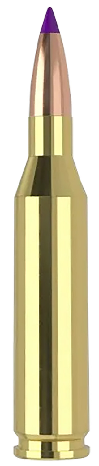 Nosler 40041 243Win 70gr Ballistic Tip Varmint 20 Per Box/10 Case