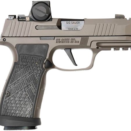 Sig Sauer 365AXGCA9LEGIONRXX P365 AXG Legion ROMEO-X 9mm 17+1 3.10" Compact Frame Legion Gray Cerakote Stainless Steel Slide G-10 Grip