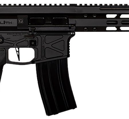 Global Ordnance LLC 197892003216 Monolithic 5.56 NATO 16" Barrel, Keymod Handguard, Modular Black Stock, Black Polymer Grip
