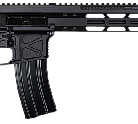 Global Ordnance LLC 197892003223 Monolithic  5.56 NATO 16" Barrel, M-LOK Handguard, Modular Black Stock, Black Polymer Grip