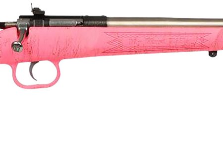 Crickett KSA2441 Gen2  Youth 22 LR 1rd 16.13" Stainless Single Shot Barrel, Stainless Steel Receiver, Pink w/Gold Webbing Fixed Synthetic Stock