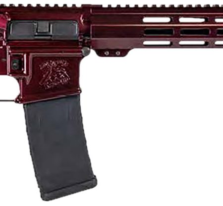 Shark Coast Tactical 300-040-1000-00 Blaze  5.56 NATO 30+1 16" Black Nitride Threaded Barrel, Red Blaze Cerakote Picatinny Rail Aluminum Receiver, Magpul SL-K Black Polymer Stock, Black Polymer Grip