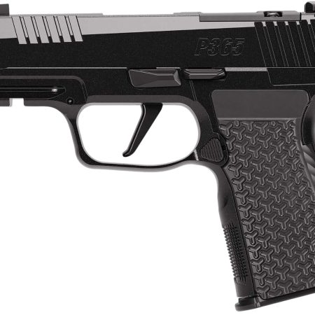 SIG 365AXG380COMPLUXE P365 380 3.1 OR 12R