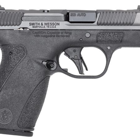 S&W BODYGRD 2.0 PC 14416 380 3.1 10/12R GRY/BLK