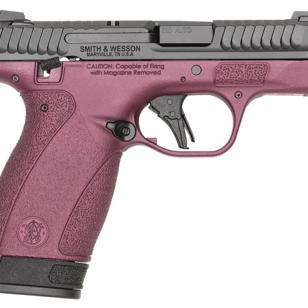 S&W BODYGRD 2.0 380ACP   14661 TS H-319 BCF