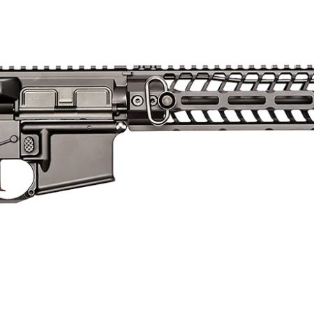 Spikes PHUR5435M3R Pipe Hitter  223 Rem,5.56x45mm NATO 16" No Magazine Black Hard Coat Anodized 6 Position MFT BMS Minimalist Stock