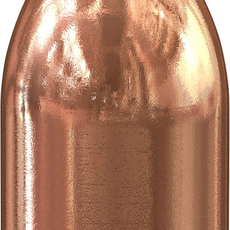 Speer 4493 Handgun 50AE 300gr DeepCurl Hollow Point 50 Per Box/5 Case