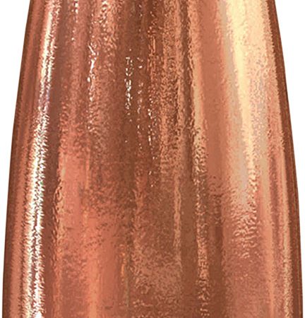 Speer 4705 TNT Varmint 22 Caliber .224 50 gr Hollow Point Value Pack 1000 Box