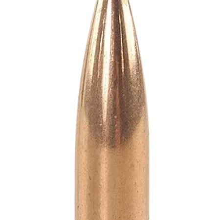 Speer 4725 TNT 30Cal 125gr Jacketed Hollow Point 500 Per Box/1 Case