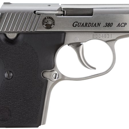 North American Arms 380GUARDIAN Guardian  380 ACP 6+1 2.50" Stainless Steel Barrel, Stainless Steel Serrated Slide, Stainless Steel Frame, Black Rubber Grip, Right Hand