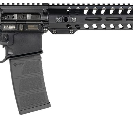 Patriot Ordnance Factory 00856 Renegade +  5.56x45mm NATO 16.50" 30+1 Black Hard Coat Anodized Black Nitride 6 Position MFT Stock Black Polymer Grip