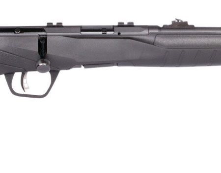 Savage Arms 70214 B Series F Compact 22 LR 10+1 18" Matte Black Button Rifled Barrel, Matte Black Drilled & Tapped Carbon Steel Receiver, Matte Black Fixed Synthetic Stock, Right Hand