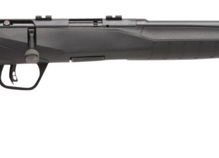 Savage Arms 70814 B17 F Compact 17 HMR 10+1 18" Matte Black Button Rifled Barrel, Matte Black Drilled & Tapped Carbon Steel Receiver, Matte Black Fixed Synthetic Stock, Right Hand