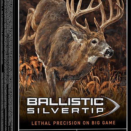 Winchester Ammo SBST4570 Ballistic Silvertip  45-70Gov 300gr Rapid Controlled Expansion Polymer Tip 20 Per Box/10 Case