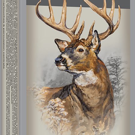 Winchester Ammo X223WSS1 Power-Point  223WSSM 64gr 20 Per Box/10 Case