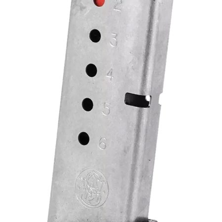 Smith & Wesson 199300000 Bodyguard  6rd 380ACP Stainless Steel